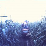 650  Corn irrigation